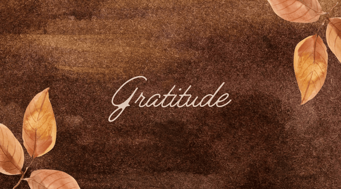 Thanksgiving Message: Gratitude | Psychic, Spiritual Advisor & Life Coach